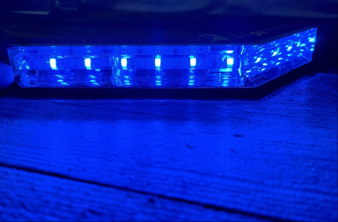 Whelen Legacy Lightbar - Corner Module - SOLO Module Blue - 01-026F104-200